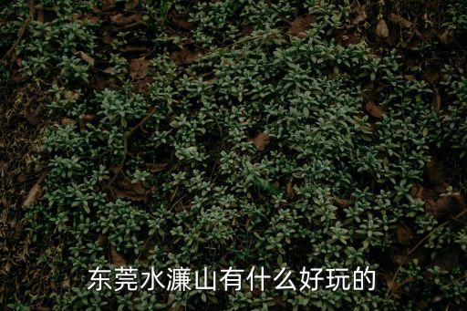 水濂洞,東莞水濂山有什么好玩的?
