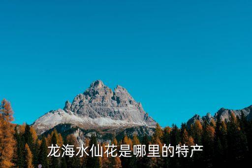 龍海水仙花是哪里的特產