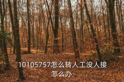 10105757,怎么轉人工?