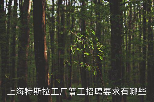 特斯拉招工,特斯拉上海招聘基本條件是什么?