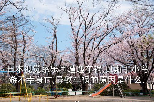 日本視覺系樂團遭遇車禍,貝斯手小鳥游不幸身亡,導(dǎo)致車禍的原因是什么...