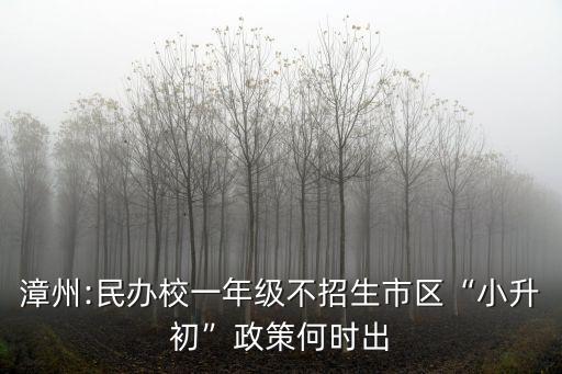 漳州:民辦校一年級不招生市區“小升初”政策何時出