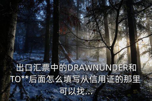 出口匯票中的DRAWNUNDER和TO**后面怎么填寫從信用證的那里可以找...