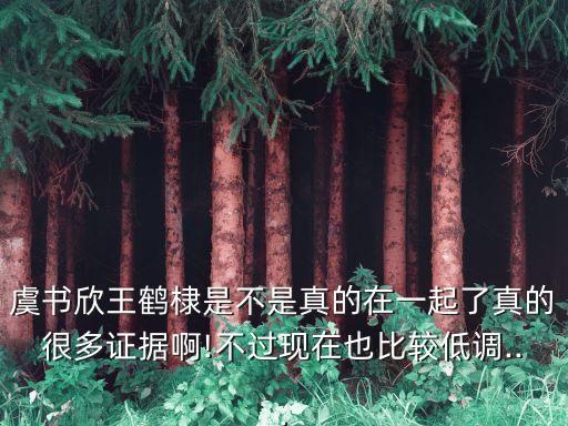 虞書欣王鶴棣是不是真的在一起了真的很多證據啊!不過現在也比較低調...