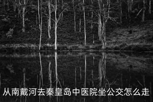 從南戴河去秦皇島中醫院坐公交怎么走