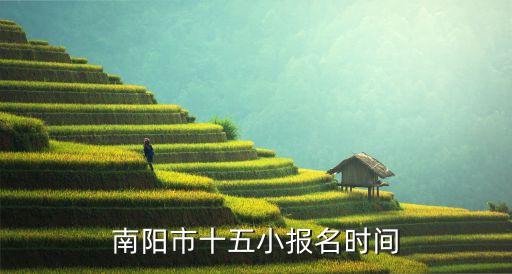 南陽市十五小報名時間