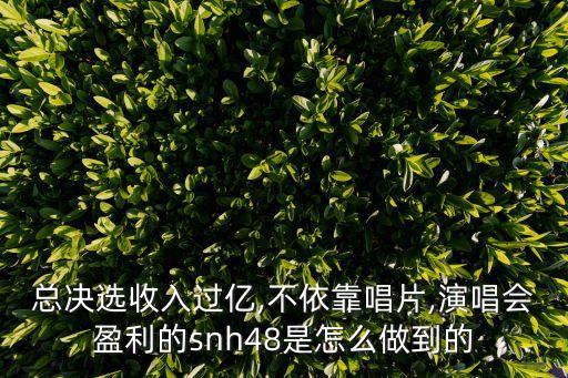snh48票務,收入過億的snh48是怎么做到的