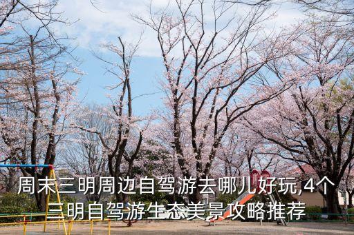 三明大金湖,福建三明十大景點(diǎn)大金湖排名第二