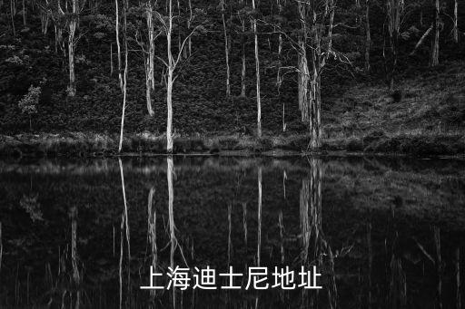 上海迪士尼地址
