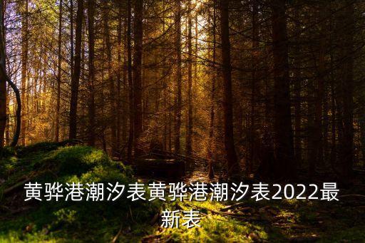 曹妃甸今日潮汐表,黃驊港潮汐表2022最新表1、日期與時間對照表