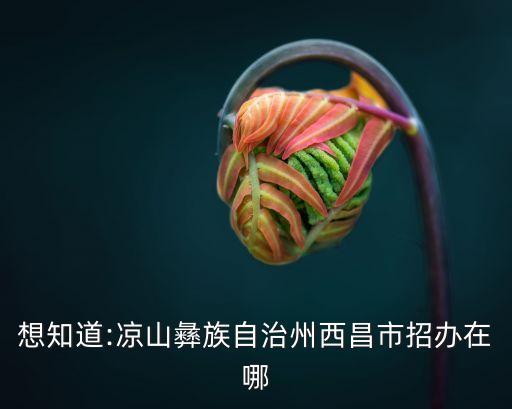 想知道:涼山彝族自治州西昌市招辦在哪