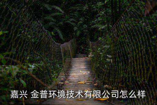 嘉興 金普環境技術有限公司怎么樣