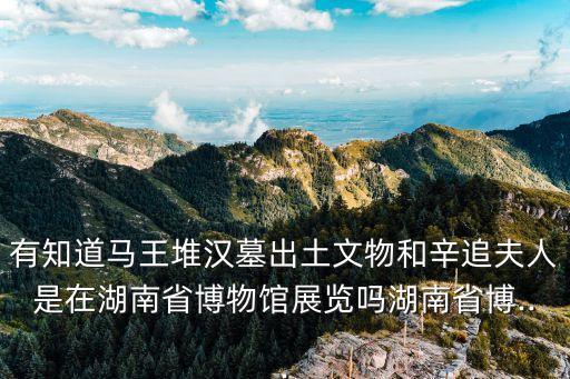 有知道馬王堆漢墓出土文物和辛追夫人是在湖南省博物館展覽嗎湖南省博...