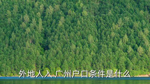 外地人入 廣州戶口條件是什么