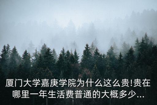 廈門大學嘉庚學院為什么這么貴!貴在哪里一年生活費普通的大概多少...