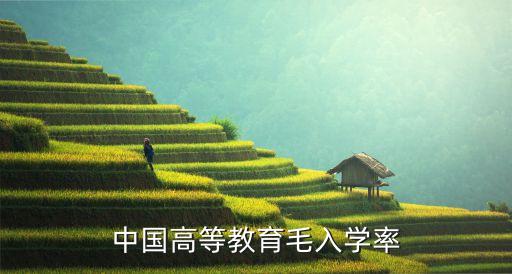中國高等教育毛入學率