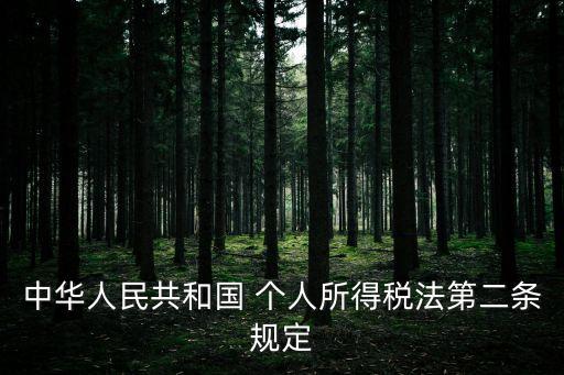 中華人民共和國(guó) 個(gè)人所得稅法第二條規(guī)定