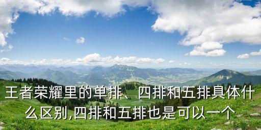 五排是什么意思,王者榮耀五排是什么意思?