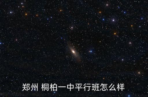 鄭州 桐柏一中平行班怎么樣