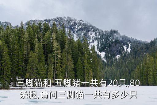 三腳貓和 五腳豬一共有20只,80條腿,請問三腳貓一共有多少只