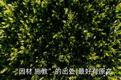施教,如何理解因材施教?