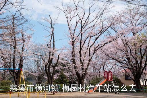 慈溪市橫河鎮(zhèn) 梅園村汽車站怎么去