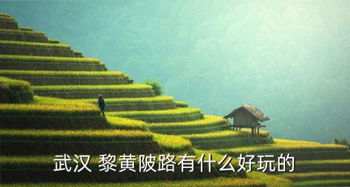 黎黃陂路,武漢到黎黃陂路怎么走?