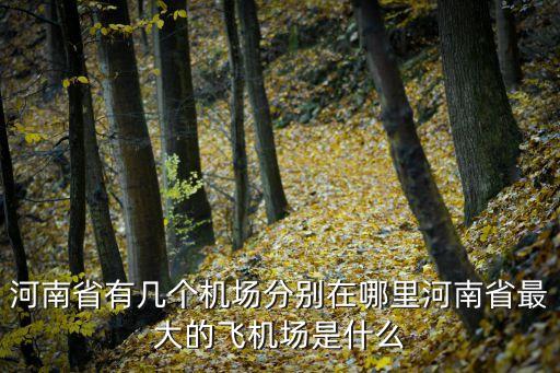 洛陽機場,河南省有5個機場?當然有機場!