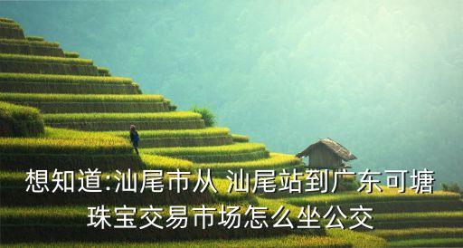 想知道:汕尾市從 汕尾站到廣東可塘珠寶交易市場(chǎng)怎么坐公交