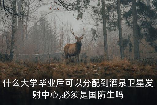 酒泉衛星發射基地,我國四大衛星發射基地正式開放運作