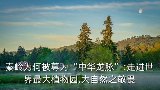 秦嶺山水,秦嶺山水為何沒有人住?