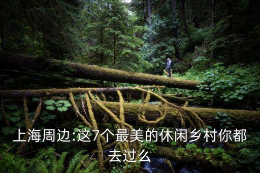 瀛東村,崇明瀛東村漁戶76戶村民202人