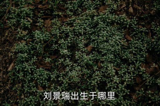 劉景瑞出生于哪里