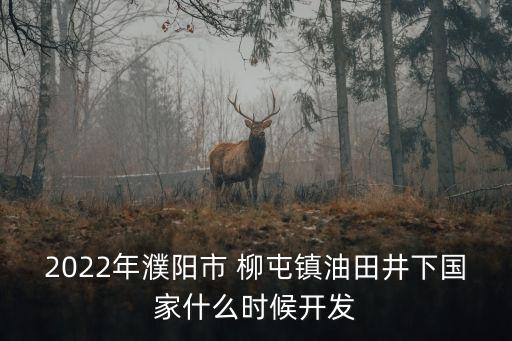 2022年濮陽市 柳屯鎮油田井下國家什么時候開發