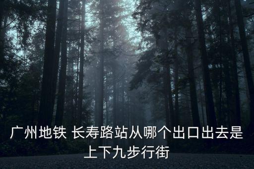 長壽路,上海普陀區長壽路直達長寧路公里