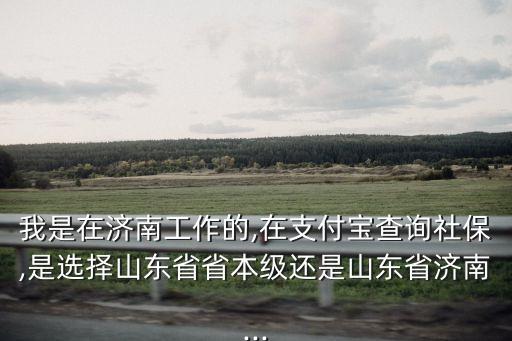 濟南市社保查詢,濟南社保卡余額查詢方法和查詢入口教程說明
