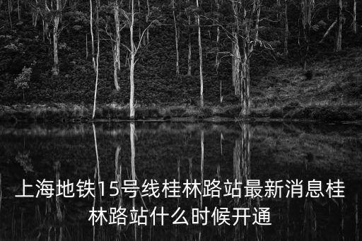 上海地鐵15號(hào)線桂林路站最新消息桂林路站什么時(shí)候開通