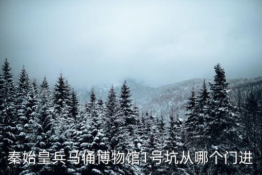 秦始皇兵馬俑博物館1號坑從哪個門進