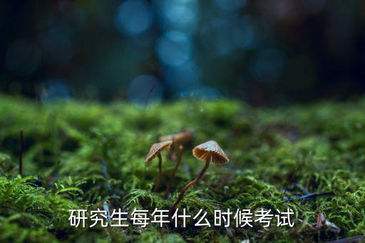 考研考試時間,2024考研時間安排