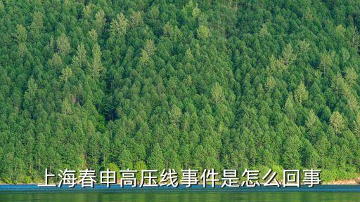 春申景城,上海春申高壓線事件:小區物業費貴嗎?