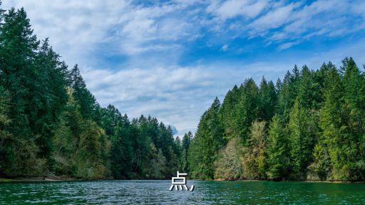 亮視點(diǎn),