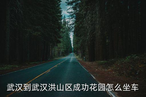 武漢到武漢洪山區成功花園怎么坐車