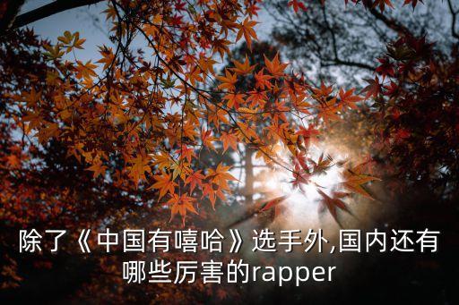 除了《中國有嘻哈》選手外,國內還有哪些厲害的rapper