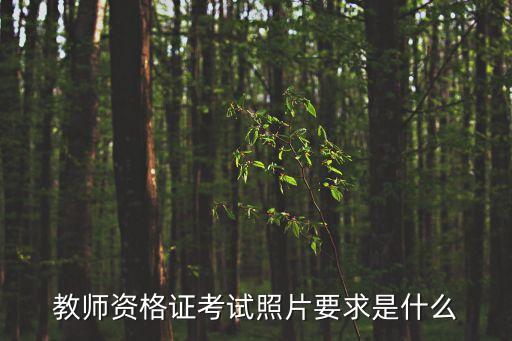 教資報名照片要求,教師資格證報名照片要求是什么?