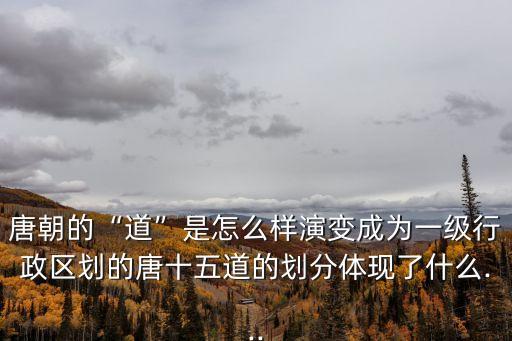 唐朝的“道”是怎么樣演變成為一級行政區劃的唐十五道的劃分體現了什么...