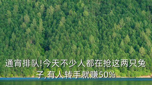 通宵排隊!今天不少人都在搶這兩只兔子,有人轉手就賺50%