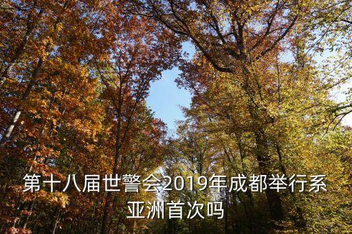 世界警察運動會,申辦世界警察消防運動會年度展望與911相關