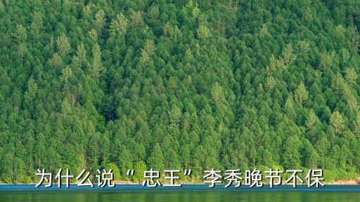 忠王,如何評價忠王李秀成?