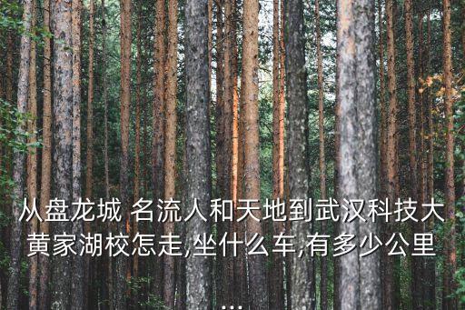 名流人和天地,從武漢名流人和天地到漢口川橋有多遠?