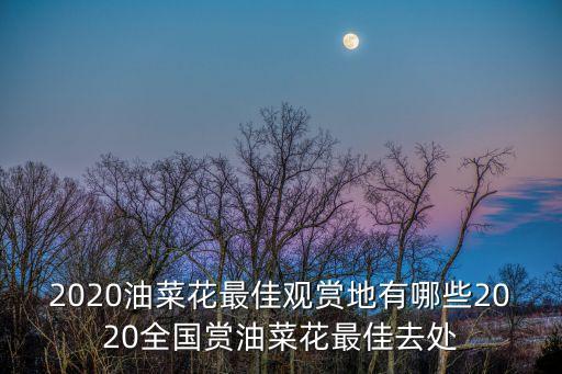 油菜花海,中國著名油菜花賞花地點哪里好?